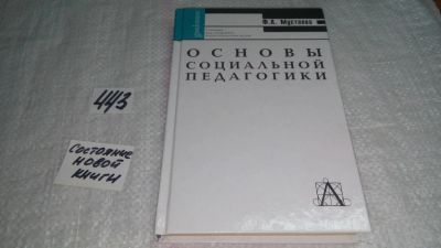 Лот: 10017031. Фото: 1. Основы социальной педагогики... Другое (общественные и гуманитарные науки)