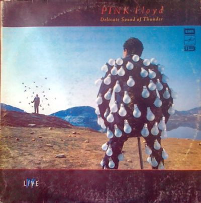 Лот: 3875997. Фото: 1. Vinyl _ Pink Floyd Delicate Sound... Аудиозаписи