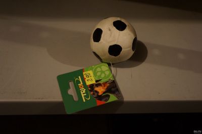 Лот: 14412017. Фото: 1. Игрушка для собак мяч с пищалкой. Игрушки для животных