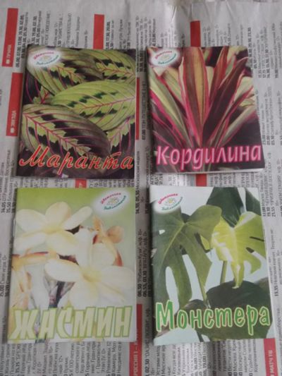 Лот: 20107776. Фото: 1. Книжечки советы для цветоводов... Сад, огород, цветы