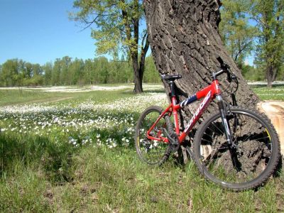 Лот: 9952823. Фото: 1. Горный велосипед Corratec x-vert... Велосипеды