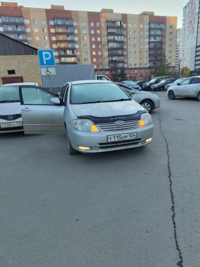 Лот: 25578839. Фото: 1. Toyota Corolla runx. Автомобили