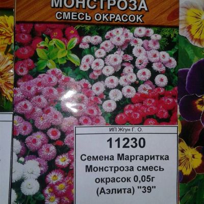 Лот: 9118282. Фото: 1. Семена / цветы / Маргаритка... Садовые цветы