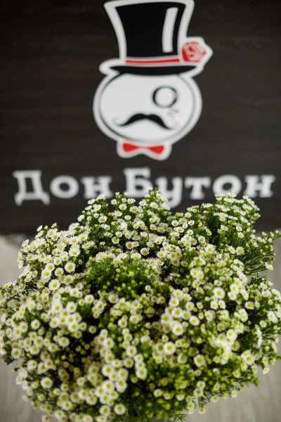 Лот: 11416358. Фото: 1. Астра кустовая 80см !Низкие цены... Свежие цветы