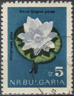 Лот: 21548009. Фото: 1. 1963. Болгария. Охрана природы... Марки