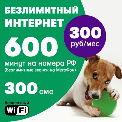 Лот: 19579839. Фото: 1. 600 минут на РФ + Безлимит на... Красноярск