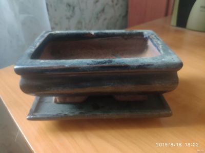 Лот: 14387979. Фото: 1. Бонсайница. Кашпо, горшки, вазоны для цветов