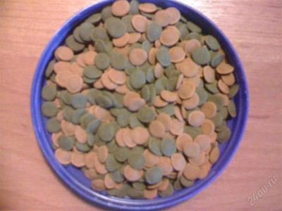 Лот: 2894798. Фото: 1. Tetra Wafer Mix - корм для донных... Корма