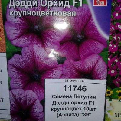 Лот: 9117894. Фото: 1. Семена / цветы / Петуния Дэдди... Садовые цветы