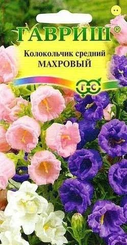 Лот: 11025165. Фото: 1. Колокольчик Махровый средн. 0... Садовые цветы