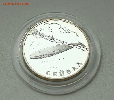 Лот: 10761400. Фото: 1. 1 рубль 2002 года сейвал. Россия после 1991 года