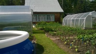 Лот: 7328583. Фото: 1. Продам дачу ст.Еловка. Дачи