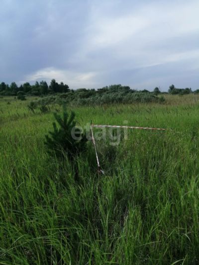 Лот: 25296436. Фото: 1. участок , СНТ Дружба СНТ Дружба... Земельные участки