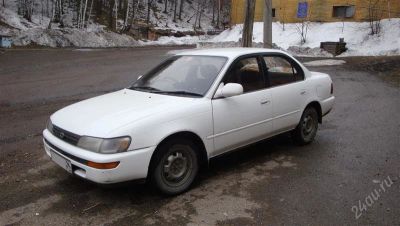 Лот: 1447541. Фото: 1. Toyota Corolla 1991. Автомобили
