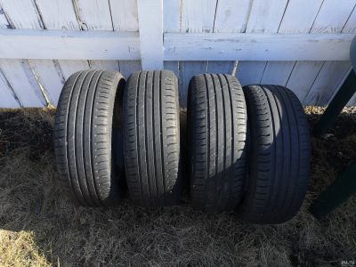 Лот: 15847566. Фото: 1. nokian hakka green 195/55 R15. Шины