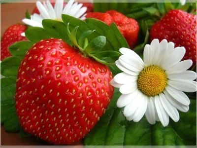 Лот: 3918277. Фото: 1. Вкусное варенье из виктория... Домашние заготовки