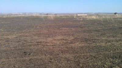 Лот: 7323505. Фото: 1. Участок тереньтево. Земельные участки