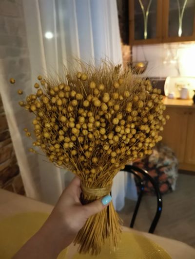 Лот: 19553314. Фото: 1. Букет из сухоцветов. Искусственные и сувенирные цветы