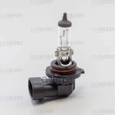 Лот: 24860304. Фото: 1. Лампы 12V Hb4 (51W) Day&Night... Оптика и освещение