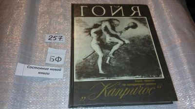 Лот: 7377132. Фото: 1. (2092322)Гойя. Серия офортов на... Изобразительное искусство