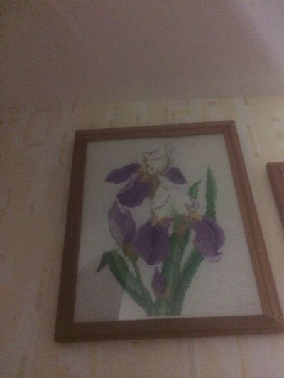 Лот: 10970749. Фото: 1. Картина Ирисы.Крестиком. Картины, рисунки