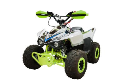 Лот: 25362298. Фото: 1. Квадроцикл RACER RC 110 Coyote. Снегоходы, квадроциклы