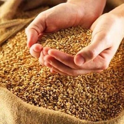 Лот: 3486262. Фото: 1. Продам Фуражное зерно (дробленка... Крупы, сыпучие продукты