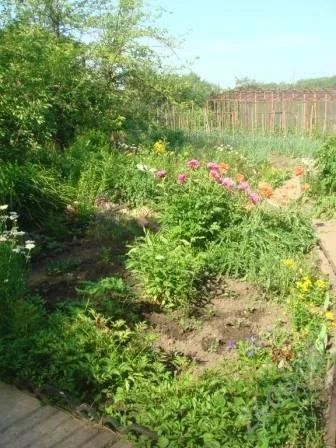 Лот: 5507991. Фото: 1. Дача в аренду. Дома, дачи, коттеджи