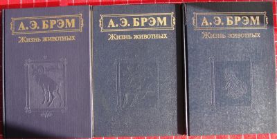 Лот: 12429830. Фото: 1. Альфред Брэм. Жизнь животных в... Энциклопедии