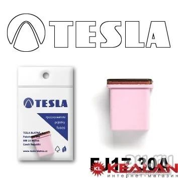 Лот: 8599052. Фото: 1. TESLA FJ17 30A предохранитель... Расходные материалы