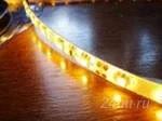 Лот: 1587346. Фото: 1. Тепло-белая светодиодная лента... Светодиоды