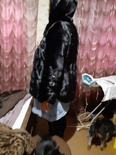 Лот: 19040231. Фото: 1. Шуба норковая. Верхняя одежда