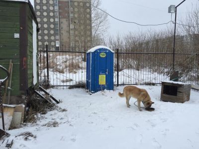 Лот: 4991340. Фото: 1. Туалет новый. Другое (для дачи, дома, огорода, бани, парка)