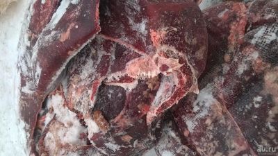 Лот: 9025516. Фото: 1. Селезенка говяжья.Мясо для собак... Корма