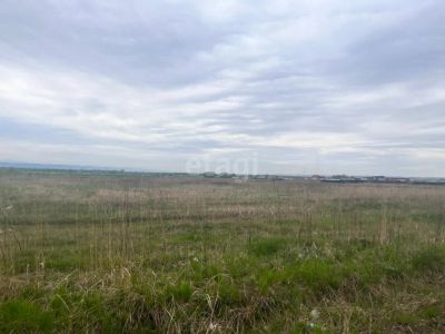 Лот: 25292654. Фото: 1. участок , село Есаулово село Есаулово... Земельные участки