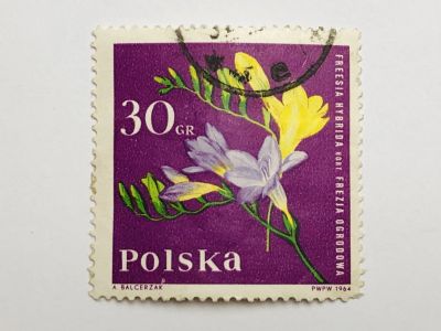 Лот: 23316437. Фото: 1. Цветы. Фрезия. 30 грошей. Флора... Марки