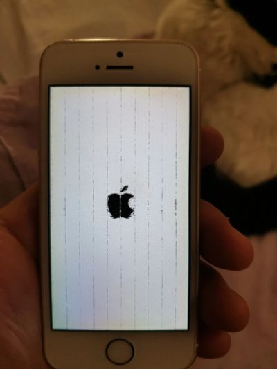 Лот: 16722875. Фото: 1. Iphone se. Смартфоны