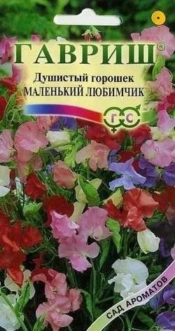 Лот: 11024264. Фото: 1. Душистый горошек Маленький любимчик... Садовые цветы