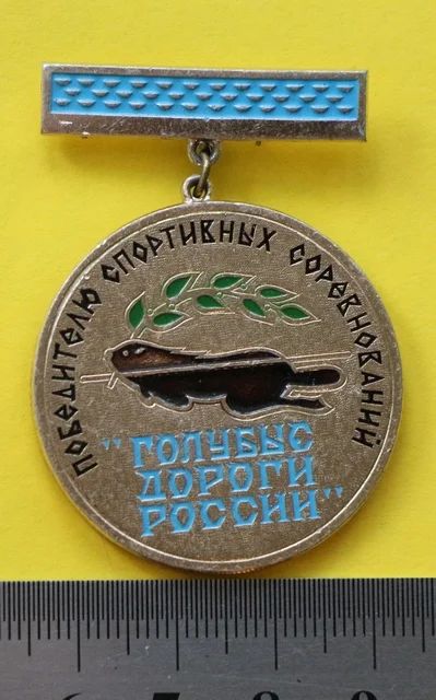 Лот: 7547060. Фото: 1. Знак Победителю спортивных соревнований... Сувенирные