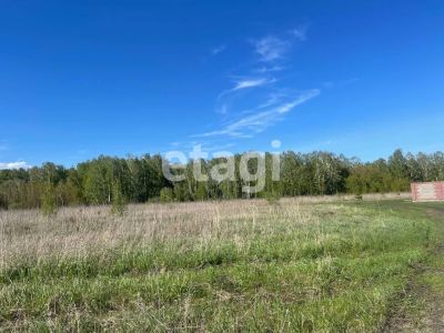Лот: 25297274. Фото: 1. участок , садовые участки Штаны... Земельные участки