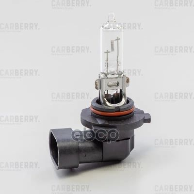 Лот: 24894682. Фото: 1. Лампы 12V Hb3 (60W) Day&Night... Оптика и освещение