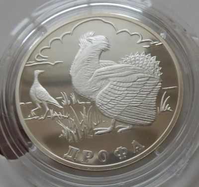 Лот: 10761167. Фото: 1. 1 рубль 2004 дрофа. Россия после 1991 года