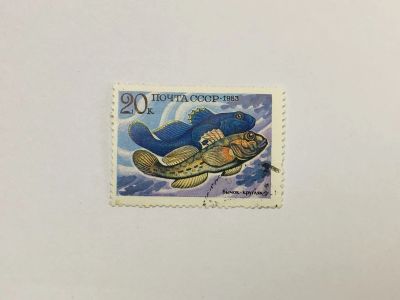 Лот: 23315745. Фото: 1. Промысловые рыбы. Бычок-кругляк... Марки