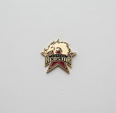 Лот: 10963562. Фото: 1. Хоккей официальный значок Красная... Сувенирные