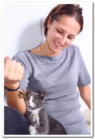 Лот: 1183550. Фото: 1. Котенок ищет хозяина. Остальные животные