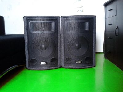 Лот: 2872866. Фото: 1. 2 колонки Soundking 250 ВТ на... Эстрадная акустика и усилители