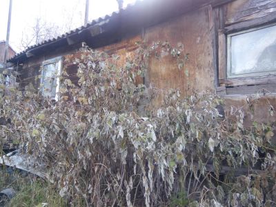 Лот: 4685947. Фото: 1. продам земельный участок находится... Земельные участки