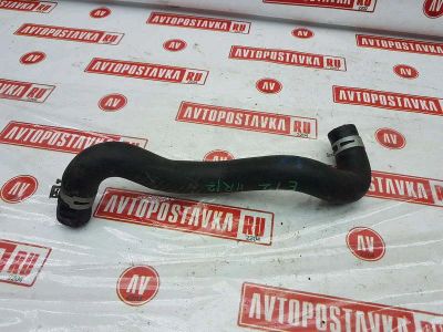 Лот: 20901364. Фото: 1. Шланг радиатора Nissan Note E12... Двигатель и элементы двигателя