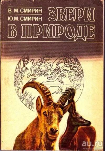Лот: 12256478. Фото: 1. Звери в природе. Домашние животные
