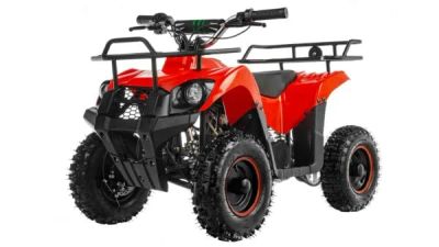 Лот: 20622742. Фото: 1. Квадроцикл TIGER Mini 49. Снегоходы, квадроциклы